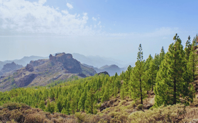 Träningsresa och utflykter på Gran Canaria